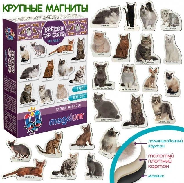 Набор магнитов Magdum "Породы кошек" ML4031-13 EN - изображение 2