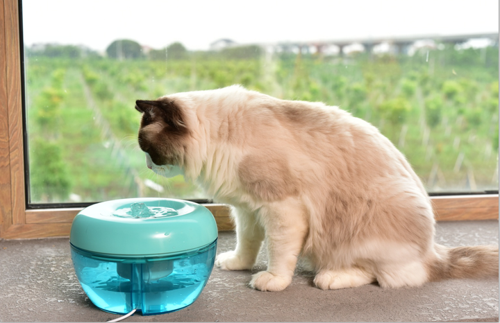 Фонтан-поїлка для котів і собак PAWOOF 1.5L з фільтром, Зелений (006-GREEN) - зображення 8