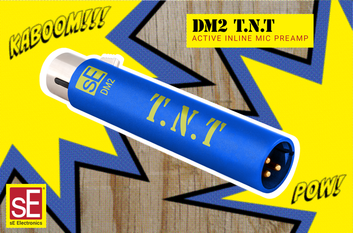 Микрофонный предусилитель sE Electronics DM2 TNT - изображение 5