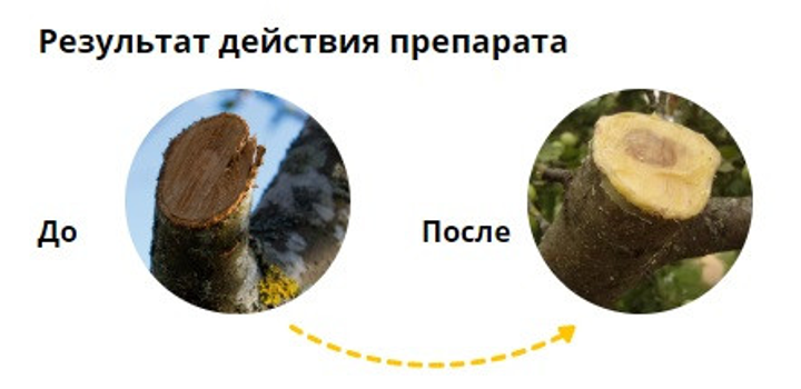 Замазка для деревьев садовый вар брикет Садівник 100 г – фото, отзывы ...