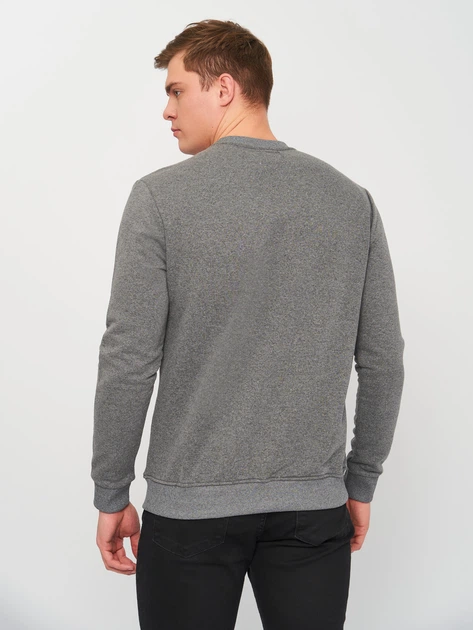 Світшот на флісі чоловічий Calvin Klein Jeans 10836.2 M (46) Сірий - зображення 2