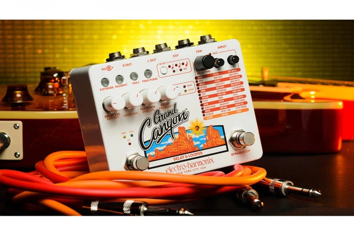 Педаль эффектов Electro-harmonix Grand Canyon Delay and Looper - изображение 4