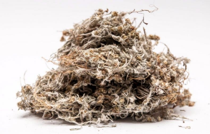Сухоцвіт болотяний Сушениця (трава) 0,5 кг - зображення 1
