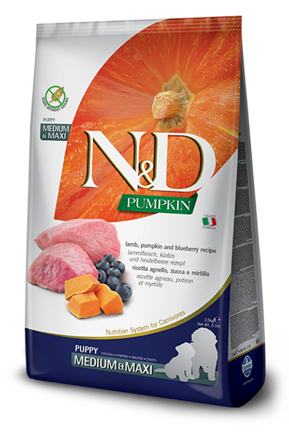 Farmina N D GRAIN FREE PUMPKIN DOG LAMB BLUEBERRY PUPPY MEDIUM MAXI 12 KG