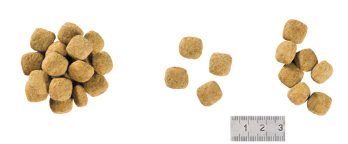 Лікувальний корм для собак з харчовою алергією HYPOALLERGENIC MODERATE CALORIE 1,5 кг Royal Canin BGL-RC-419 - зображення 2