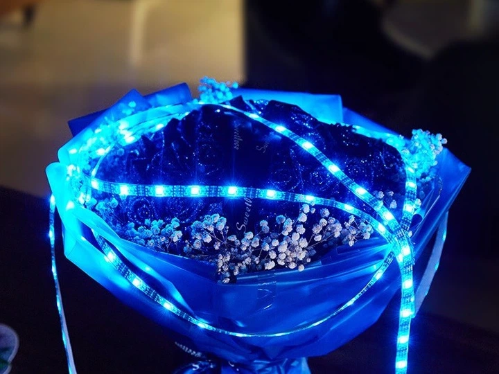 Светодиодная лента HOCO RGB 4m USB cool LED color light strip |4M, 20 RGB Mode, Remote|c пультом управления - зображення 2