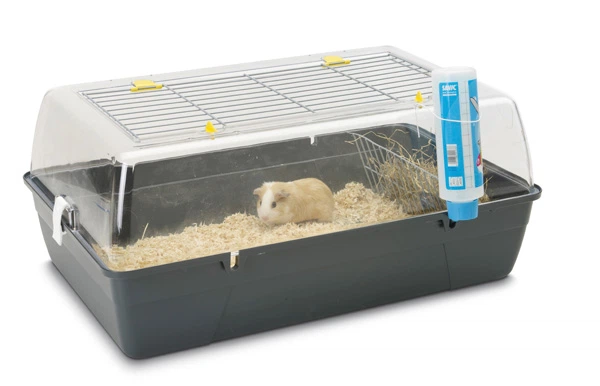 РОДИ (Rody Cavia) клетка для морских свинок, крыс, мышей светло-серый | 70Х45Х31 см. Savik BGL-ZB-01328 - Фото 1 РОДИ (Rody Cavia) клетка для морских свинок, крыс, мышей светло-серый | 70Х45Х31 см. Savik BGL-ZB-01328 - изображение 1