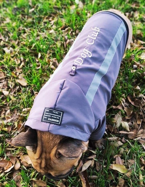 Куртка для собак DogClub Sunny XL Plum - Фото 1 Куртка для собак DogClub Sunny XL Plum - изображение 1