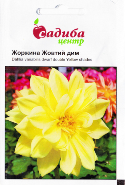 Георгина Желтый дым - ROZETKA. Купить недорого семена георгины Жёлтый ...