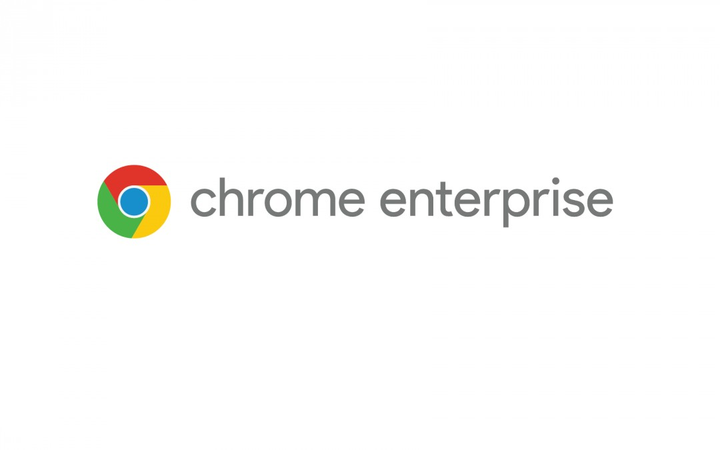 Google Chrome Enterprise Annual License - зображення 2