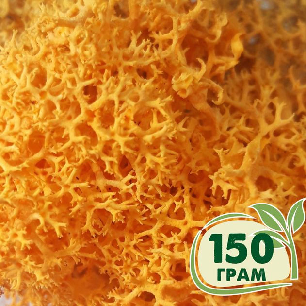 Стабилизированный мох ягель Nordic moss Желтый осенний 150 грамм - изображение 1