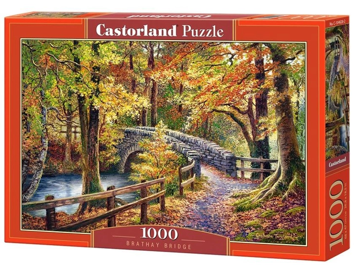 Игрушка-Пазл Castorland картины Мост в парке 1000 элементов (5904438101818-2) 