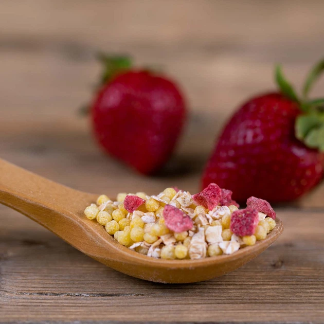 Дитяча безмолочна каша Fleur Alpine Organic Мультизлакова Банан-Яблуко-Полуниця 200 г (9010004508168) - зображення 5