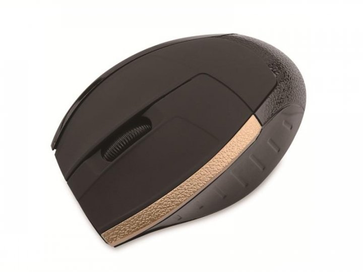 Мышь Aneex E-M550 Black/Gold USB (E-M550) - изображение 1