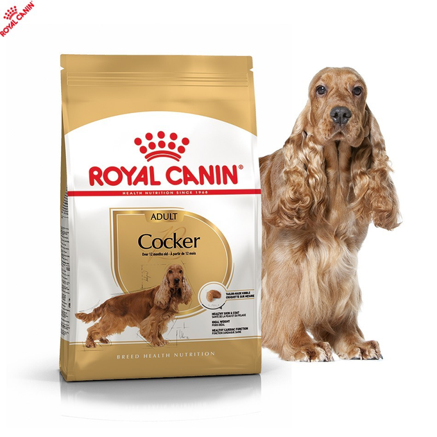 Сухой полнорационный корм Royal Canin Cocker Adult - сухой корм для кокер спаниелей от 12 мес. 3 кг (3969030) 