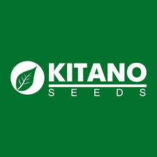 KS 1157 F1 100 шт Kitano Seeds Томат Індетермінантний Насіння (Томат Индетерминантный Семена) - изображение 4