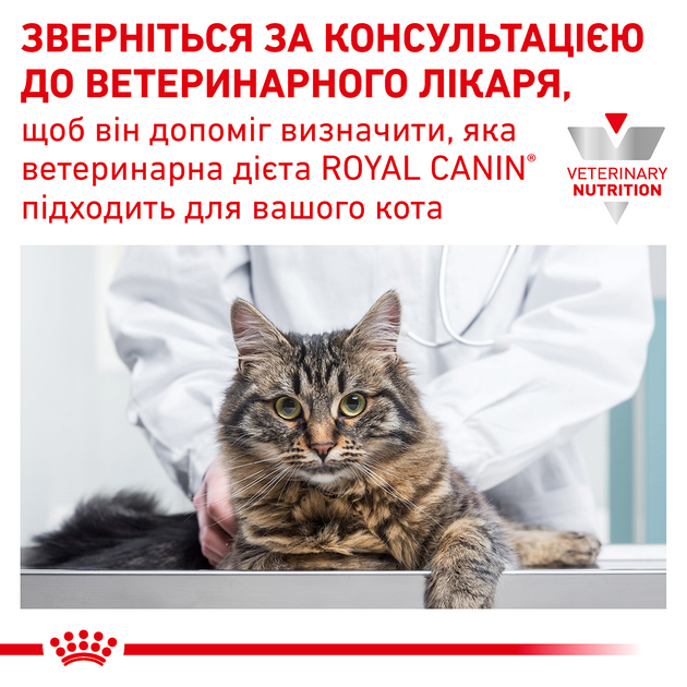 Royal Canin Gastro Intestinal Cat 2