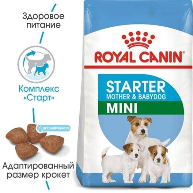 Royal Canin MINI STARTER