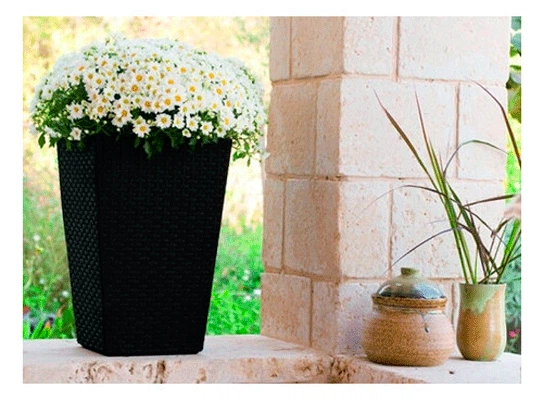 Квітковий горщик Keter Medium Rattan Planter сірий (7290103659288) - Фото 2 Квітковий горщик Keter Medium Rattan Planter сірий (7290103659288) - зображення 2