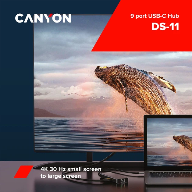 USB-хаб Canyon 9 port USB-C Hub DS-11 Grey (CNS-TDS11) - зображення 4
