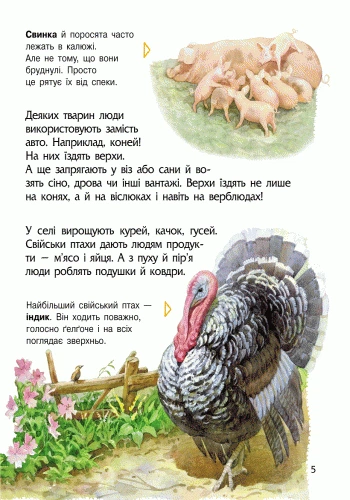 Дошкільна енциклопедія «Тварини» Ранок (С614005У) - Фото 5 Дошкільна енциклопедія «Тварини» Ранок (С614005У) - изображение 5