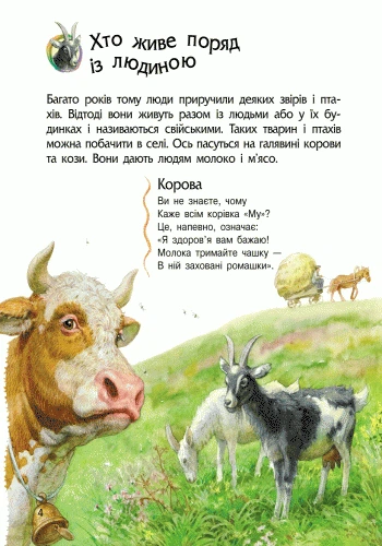 Дошкільна енциклопедія «Тварини» Ранок (С614005У) - Фото 7 Дошкільна енциклопедія «Тварини» Ранок (С614005У) - изображение 7
