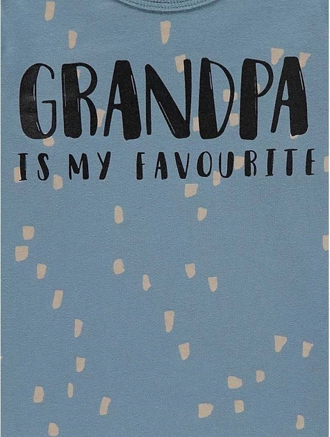 Реглан для мальчика синий Grandpa George 98-104см (40005527) - Фото 3 Реглан для мальчика синий Grandpa George 98-104см (40005527) - изображение 3