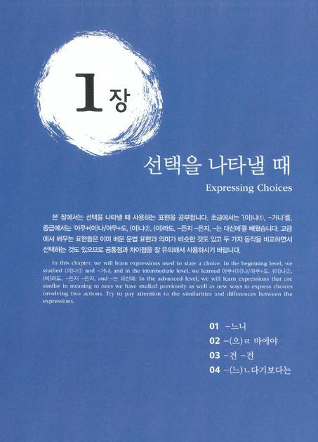 Korean Grammar in Use Advanced Грамматика корейского языка для продвинутых на английском языке - изображение 5