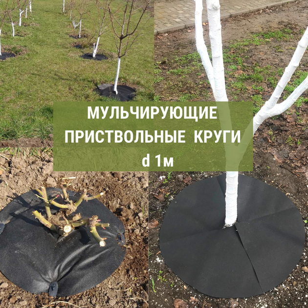 Приствольный круг d 1 м из агроволокна П - 70 г/м.кв. - Фото 1 Приствольный круг d 1 м из агроволокна П - 70 г/м.кв. - изображение 1