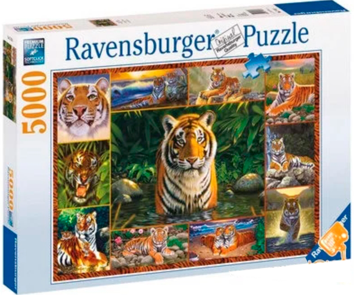 Пазл Ravensburger Тигри (Tiger) 5 000 елементів - зображення 3