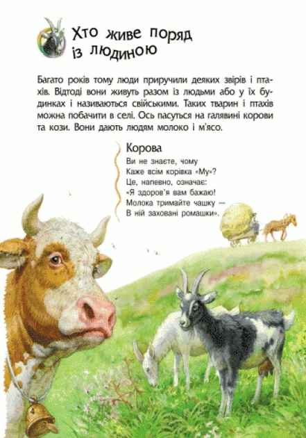 Енциклопедія дошкільника (нова) : Тварини - Фото 5 Енциклопедія дошкільника (нова) : Тварини - изображение 5