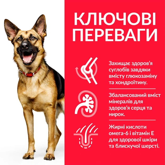 Сухой корм для зрелых собак больших пород от 6 лет Hill’s Science Plan Mature Adult 6+ Large Breed с курицей 14 кг (052742025926) (604371) - изображение 3