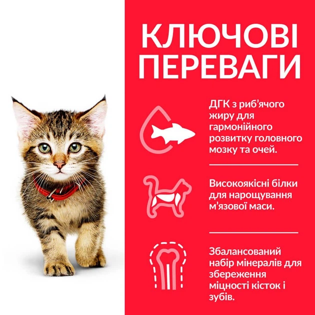 Сухий корм Hill’s Science Plan Kitten для кошенят, вагітних і лактуючих кішок, з куркою, 1,5 кг (BR604048) - Фото 2 Сухий корм Hill’s Science Plan Kitten для кошенят, вагітних і лактуючих кішок, з куркою, 1,5 кг (BR604048) - зображення 2