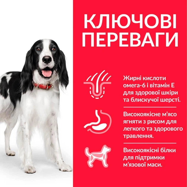 Сухий корм Hill’s SP Adult Medium Breed для дорослих собак середніх порід з ягням і рисом 14 кг - Фото 2 Сухий корм Hill’s SP Adult Medium Breed для дорослих собак середніх порід з ягням і рисом 14 кг - изображение 2