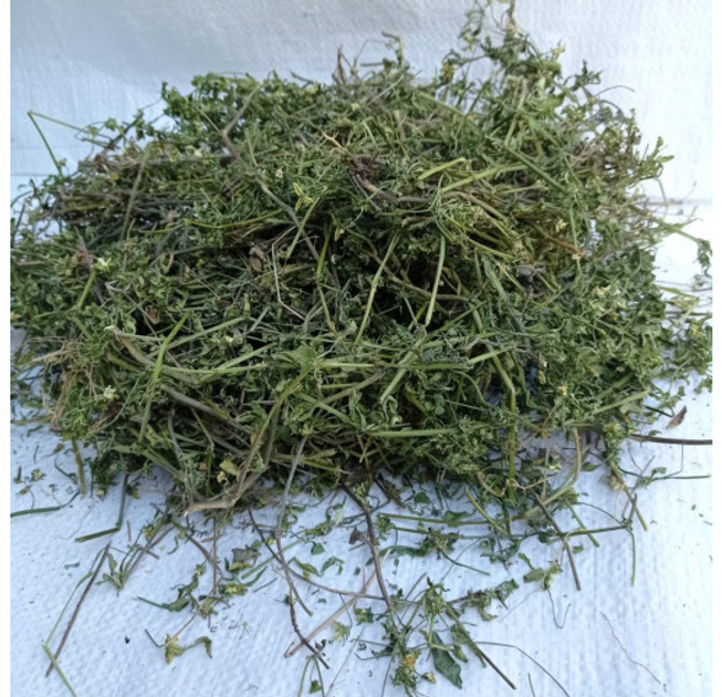 Фіалка триколірна трава сушена (упаковка 5 кг) - зображення 1