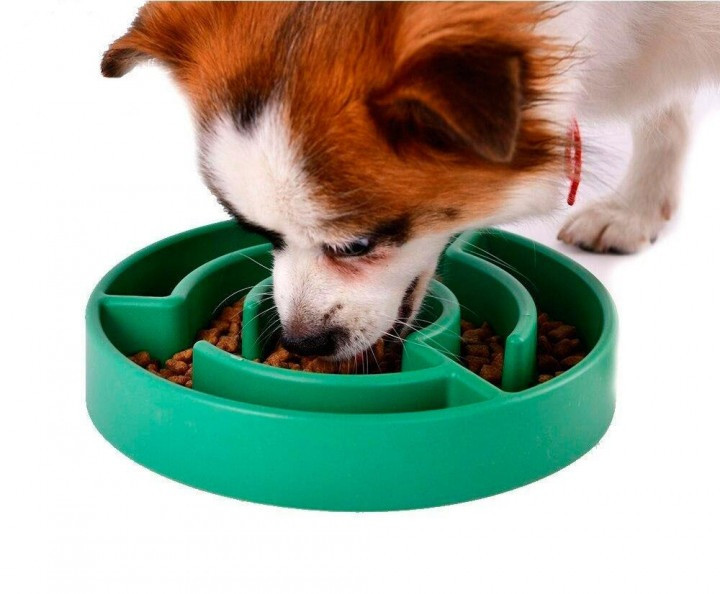 Animal planet outlet slow maze feeder