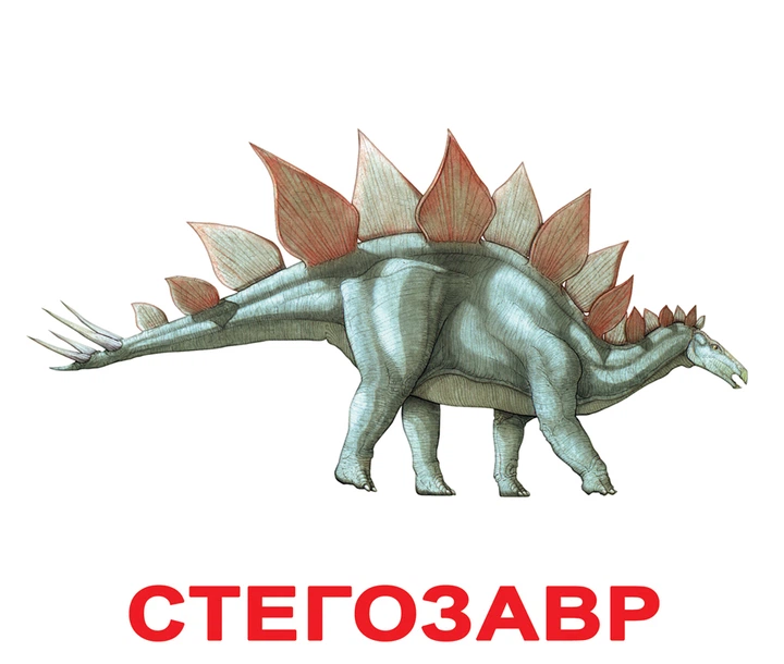 Карточки большие украинские с фактами «Динозавры», ламинир. 094218 - Фото 1 Карточки большие украинские с фактами «Динозавры», ламинир. 094218 - изображение 1