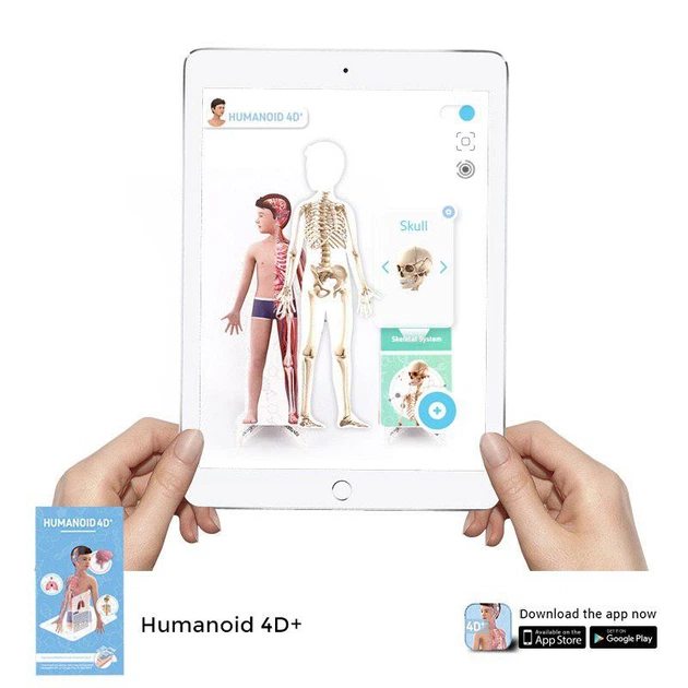 Навчальні карти Humanoid 4D+ з доповненою реальністю Анатомія 4D+ - Фото 3 Навчальні карти Humanoid 4D+ з доповненою реальністю Анатомія 4D+ - зображення 3
