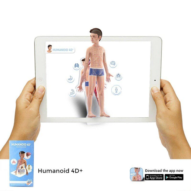 Навчальні карти Humanoid 4D+ з доповненою реальністю Анатомія 4D+ - Фото 5 Навчальні карти Humanoid 4D+ з доповненою реальністю Анатомія 4D+ - зображення 5