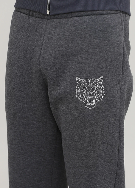 Брюки Only Man (95-PSr-01-19-graphite/Lfront-tiger-silver-3XL) - изображение 3