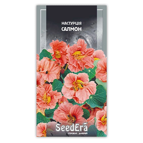 Настурция Низкорослая Салмон Florium (726880) - изображение 2