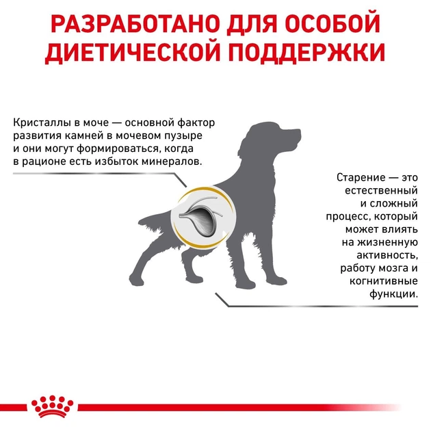 Вологий корм Royal Canin Urinary S/O для собак при захворюваннях нижніх сечовивідних шляхів 12x410 г (9003579310632) - зображення 3