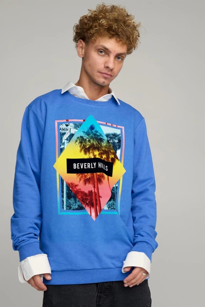 Світшот чоловічий OVERSIZE /no flis/ S Блакитний (BSMRB30013) - Фото 1 Світшот чоловічий OVERSIZE /no flis/ S Блакитний (BSMRB30013) - изображение 1