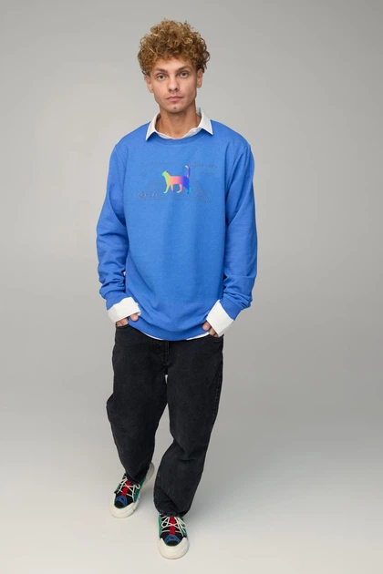 Світшот чоловічий OVERSIZE /no flis/ M Блакитний (BSMRB30032) - изображение 2