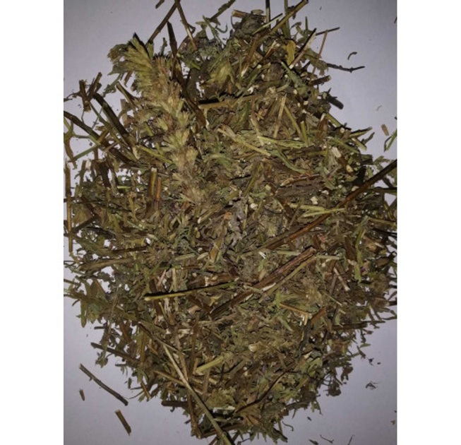Иссоп трава сушеная (упаковка 5 кг) - изображение 1
