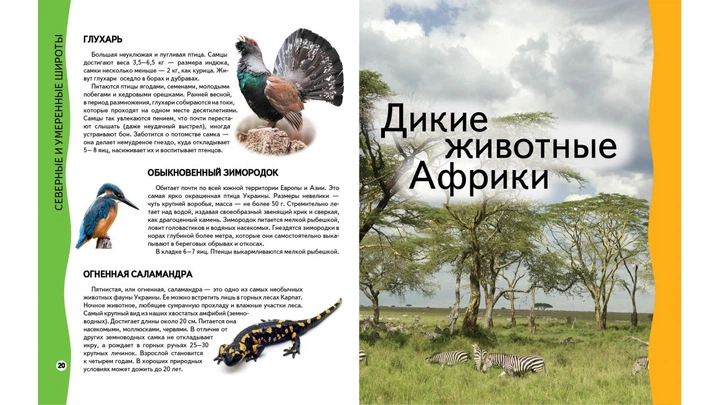 Энциклопедия животных. Всезнайка - изображение 4