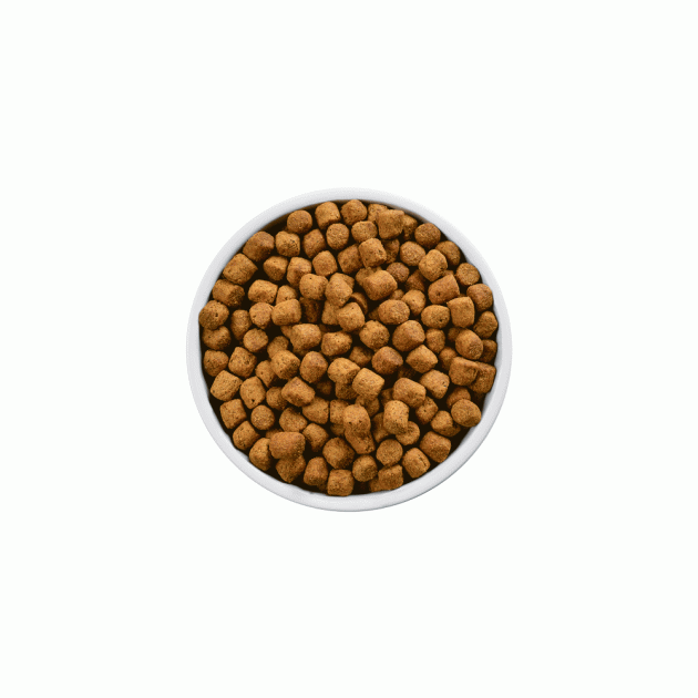 Сухий корм Hill's Prescription Diet r / d Weight Reduction для собак куркою 1,5 кг - зображення 5