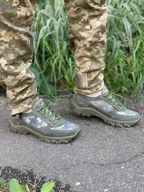Кроссовки женские тактические ShoesBand Хаки Натуральный нубук с текстильной сеткой 37 (24 см) (S32011) - изображение 1