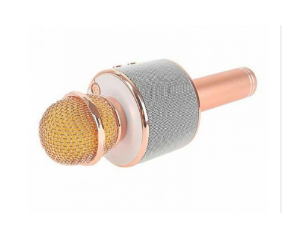 Микрофон Караоке WS858 - изображение 3