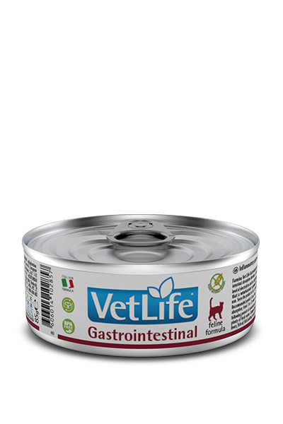 Влажный корм для кошек Farmina Vet Life Gastrointestinal 85 г, при нарушении пищеварения - Фото 1 Влажный корм для кошек Farmina Vet Life Gastrointestinal 85 г, при нарушении пищеварения - изображение 1